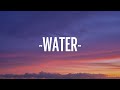 Tyla Water Remix Ft Travis Scott