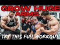 60 MINUTE MASS BUILDING ARM WORKOUT | REGAN GRIMES