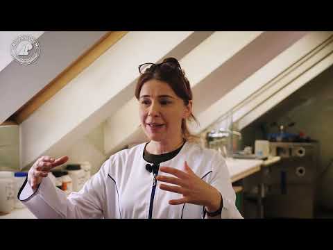 Czym jest mikoryzacja sadzonek? Film edukacyjny o gospodarce leśnej