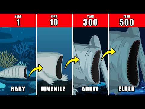 500 Years of Sea Eater Life Documentary: How Sea Eater Might Have Lived