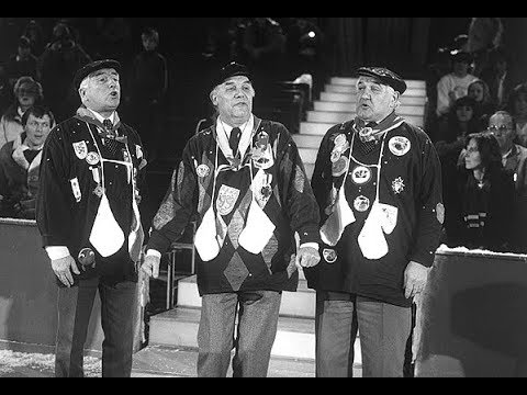 Wim Kersten & De Viltjes - De malaise-polonaise ( 1981 )