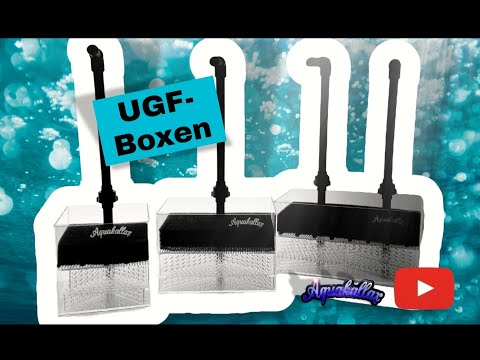 UGF Filter......besser in der Box wie unterm Kies?!!