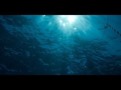 Mach6ixx_| W2Now (Prod. by Mach6ixx_| Whiz Mix)