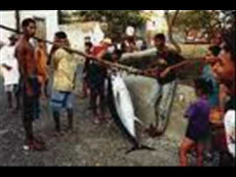 RaPaZ 100 juiz._Tra tres