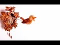 Alarm Clock Sound Effect Cuckoo Clock Bird Tweet Sound Effect