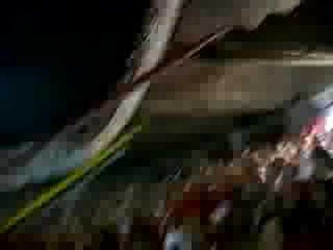 INTER x EMELEC - 3 X 0 - LIBERTADORES 2007