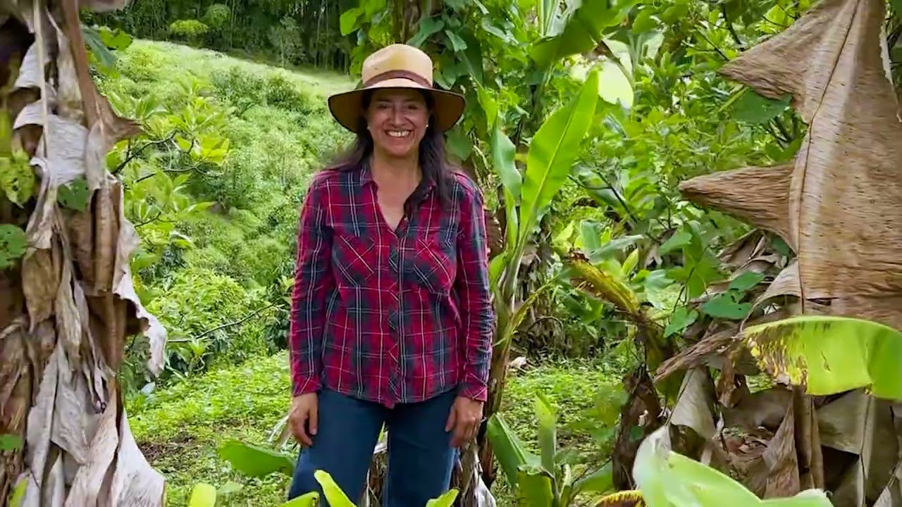 Urrao Paraíso Vivo - Click to play