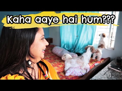 Puppies visit friend's place for the very first time | Family day out with my puppies Video