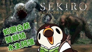 [Vtub] 菜姬 隻狼|接下來是先打一個小BOSS蛇眼