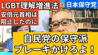 【日本保守党】LGBT理解増進法を自民党保守派は廃案へ持っていくべき