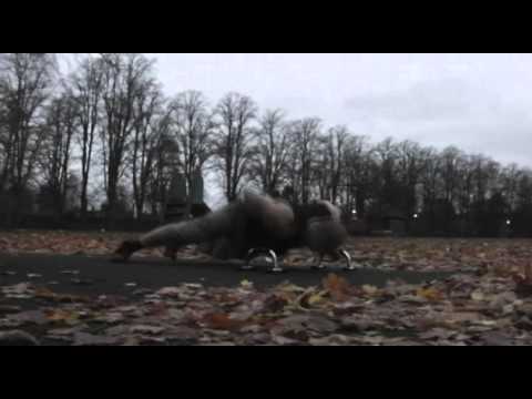 STREET WORKOUT BY SIWY ( samborowo ) - Freestyle push ups