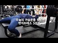 연휴 전 마지막 가슴운동 | 벤치프레스만 했습니다 | CHEST WORKOUT