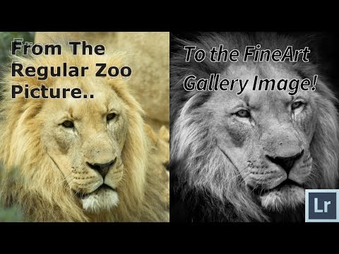 How To Edit Wildlife And Zoo Photos in Adobe Lightroom 6 CC The ULTIMATE Tutorial and Guide