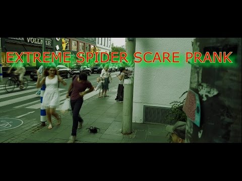 Big Spider Attack In The City Prank