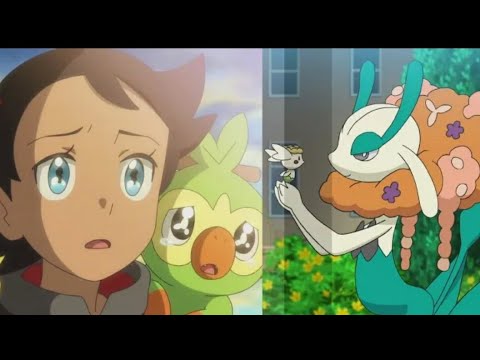 Cartoon Cartoon | Goh Flabébé Evolves into Floette | Pokemon Journeys Episode 66 |  [ADG]