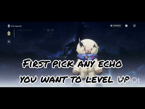 100% crit rate 270% crit dmg in wuthering waves