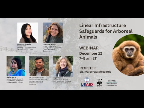 Webinar: Linear Infrastructure Safeguards for Arboreal Animals