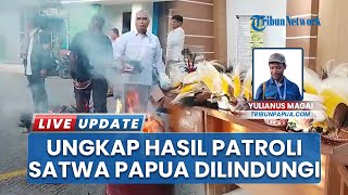 Ratusan Satwa Papua Hasil Patroli Terpadu Diungkap, Masyarakat Diimbau Hentikan Perdagangan Ilegal