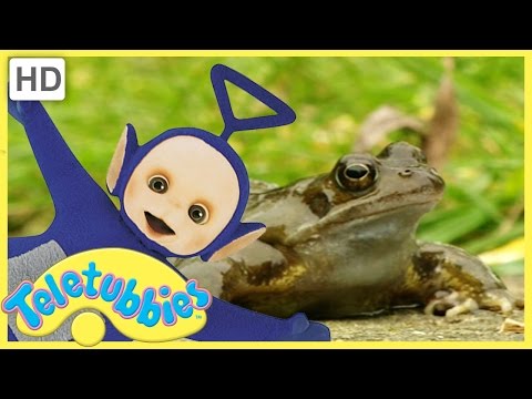 Teletubbies English Episodes★ FROGS ★ Full Episode 212 - HD
