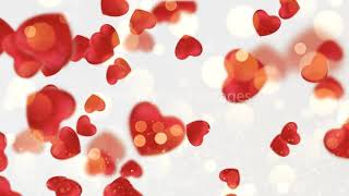 heart falling effect video | heart background status | heart background animation | love background