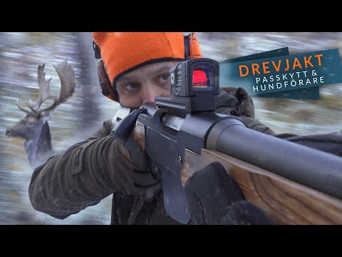 Årets sista drevjakt - Passkytt & Hundförare