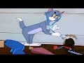 Tom And Jerry Mucho Mouse Tom And Jerry Episode 108 T J