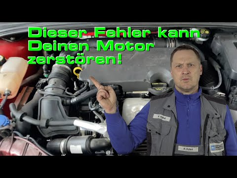 Das kann Deinen Motor zerstören! (Zahnriemen Im Öl)