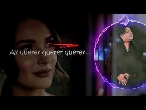 ♫ Locamente Enamorado - Chinito Del Ande / Audio Oficial (2024)