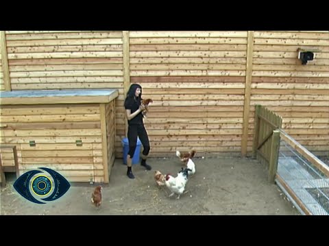 Morgenspaß mit Hanka im Hühnerstall I Tag 46 I Staffel 2 I Big Brother