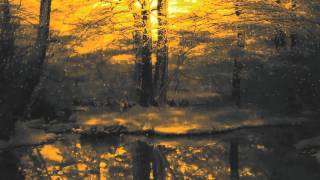 Buckethead - Wishingwell