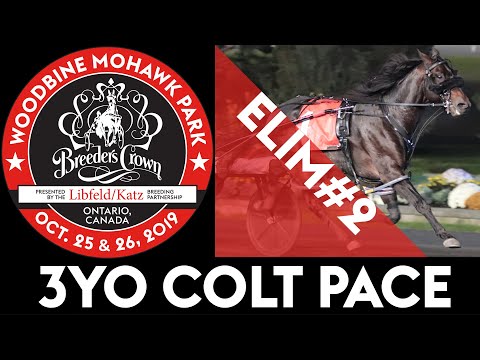 2019 Breeders Crown Elim#2 - Bettor's Wish - 3YO Colt Pace