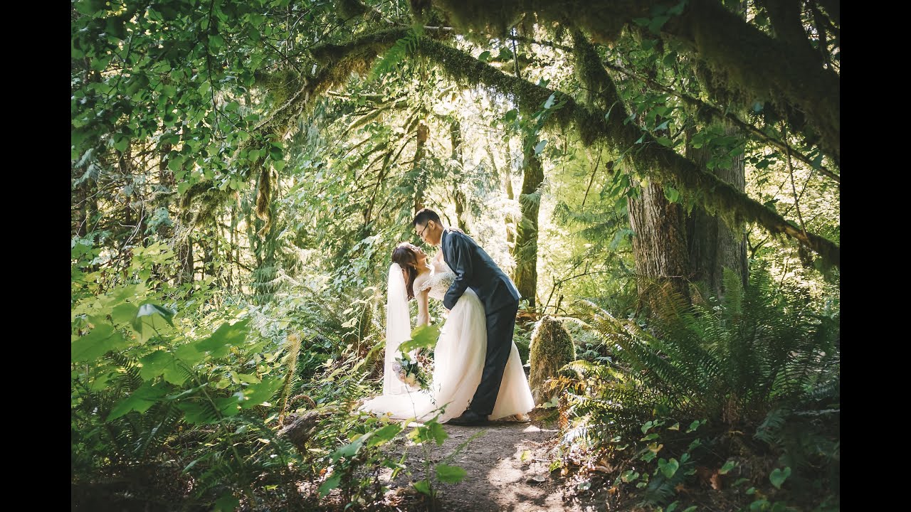 How Much is a Wedding at TreeHouse Point