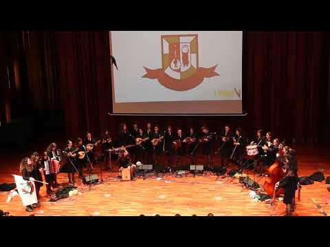 Tamacun - TUNAFE :: I Searas