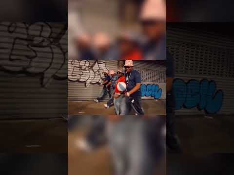 THE BRONX BOYS DE GOHOU