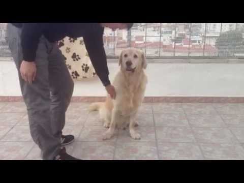 Schumi peleando conmigo