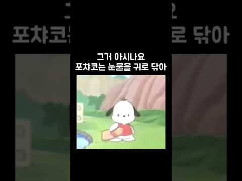 그거 아시나요 포챠코는 눈물을 귀로 닦아#shorts