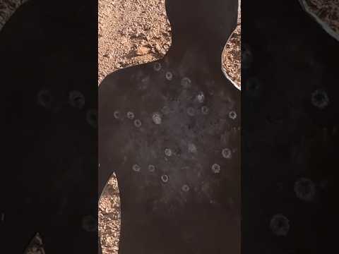 WHY YOU DON'T USE 12 GAUGE SLUGS IN HOME DEFENSE!