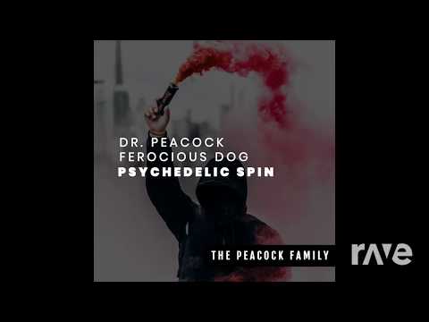 Prɘssure DistribuʇoR - The Problemraver⫘Psychedelic Spin [Ilsa Gold vs. Dr. Peacock]