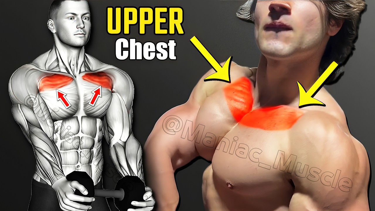 BEST Upper Chest Workout Routines You Need To Know