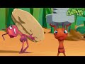 Sweet Dreams Tough Training Cartoons For Kids Animal Learning Antiks After School Club
