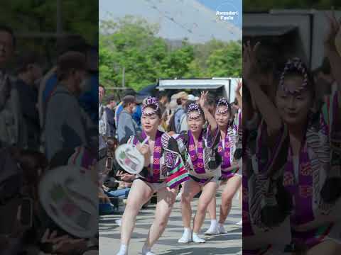 【阿波踊り/Awaodori】Cool and beautiful dance! Godyahei "momo" 娯茶平・モモ