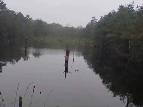 Buona Notte, Maria  (deutsch)   -   Ricky Shane