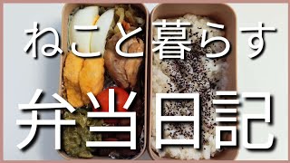 ねこと暮らす前日作り置き弁当日記です