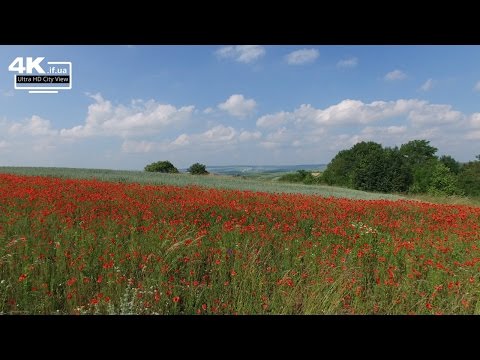 Rejon rohatyński — Wideo