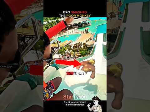 This toy was unbreakable until IShowSpeed showed up 🥶