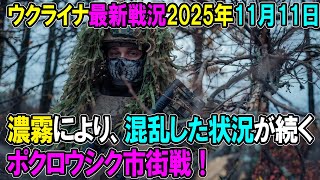 【ウクライナ戦況】25年11月11日。