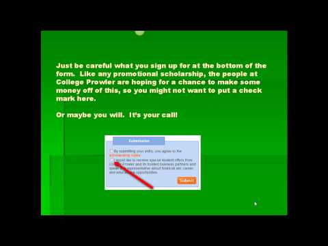 No essay scholarship 2013