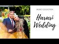 Nasir Abdela - Aruz Ayamkhash│Ethiopian Harari Wedding Music (Audio)