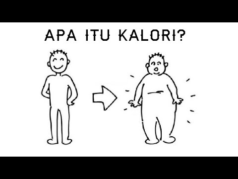 Teh queen pelangsing kecantikan Lirik waktu untuk menurunkan berat badan