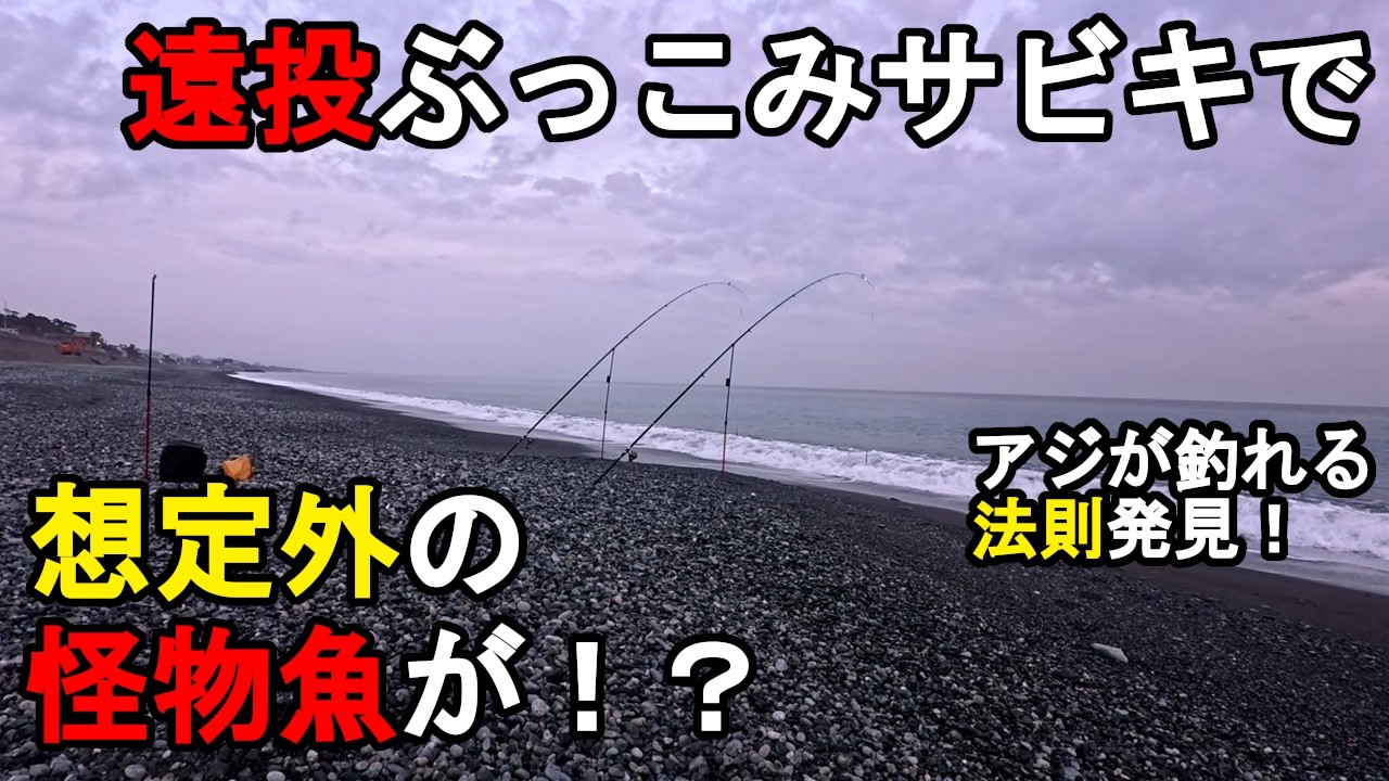 【神奈川県某所】遠投ぶっこみサビキで想定外の怪物魚が！？真冬の海釣りオフシーズン期間に、関東地方の相模湾側に面している砂浜(サーフ)エリアの釣り場で、アジ狙いで釣りしていたら…！【2026年1〜2月】